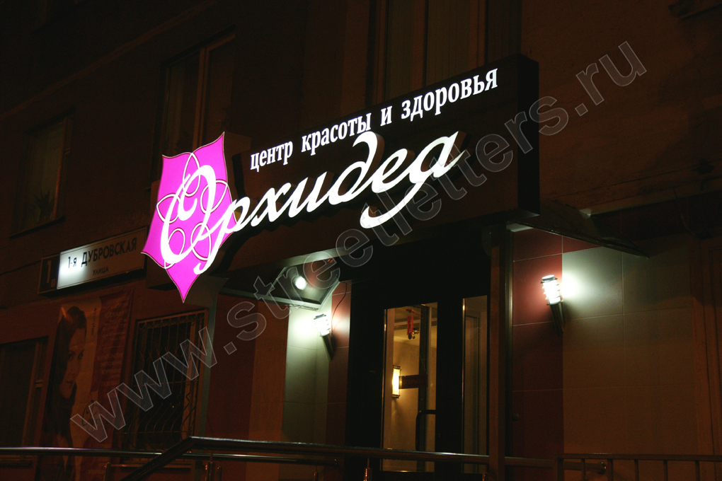 buk_2876